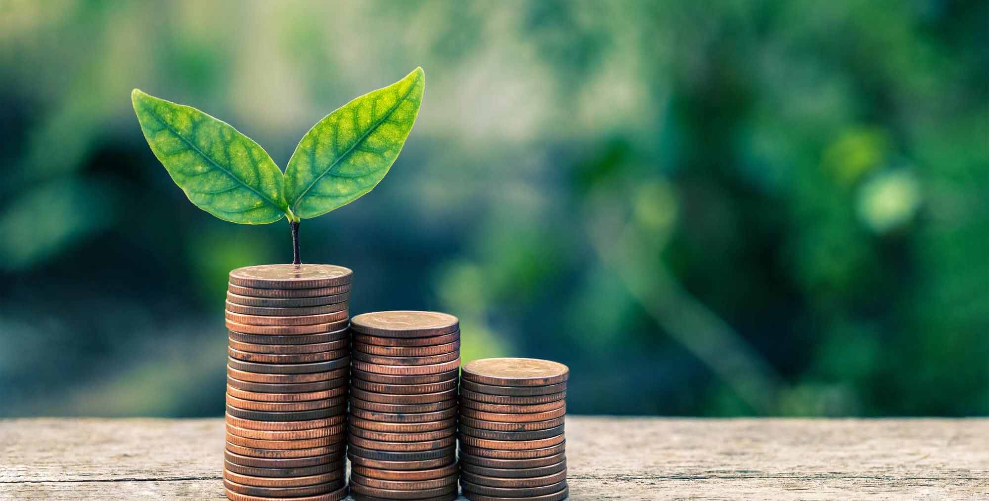 Grow Your Wealth with NL Masters USDT Investments